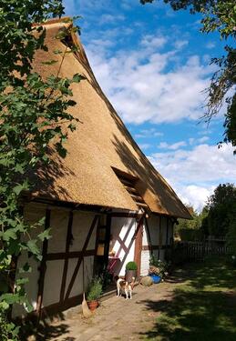 Foto - 5 Zimmer Bauernhaus, Landhaus in Vellahn