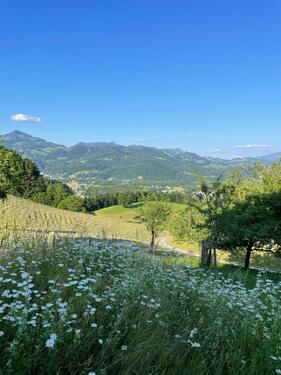 Foto - 3 Zimmer Dachgeschoßwohnung zur Miete in Oberaudorf