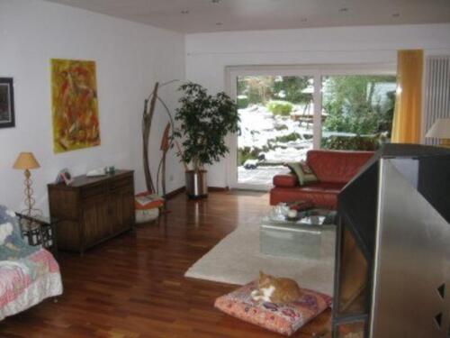 Foto - 4 Zimmer Erdgeschoßwohnung zur Miete in Homburg