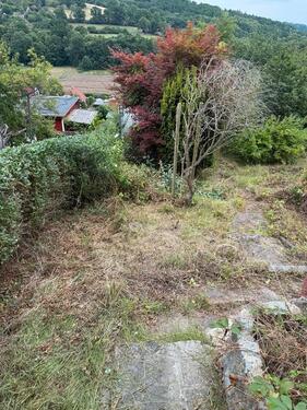 Foto - Grundst&uuml;ck in Gera zur Miete