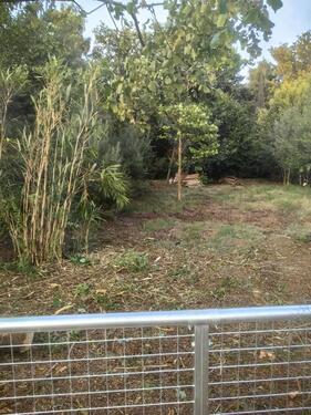 Foto - Grundst&uuml;ck zur Miete in Ribbesbüttel