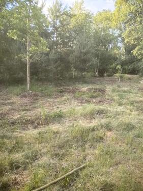 Foto - Grundst&uuml;ck in Ribbesbüttel