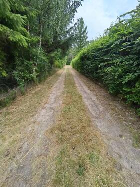 Foto - Grundst&uuml;ck in Ribbesbüttel zur Miete