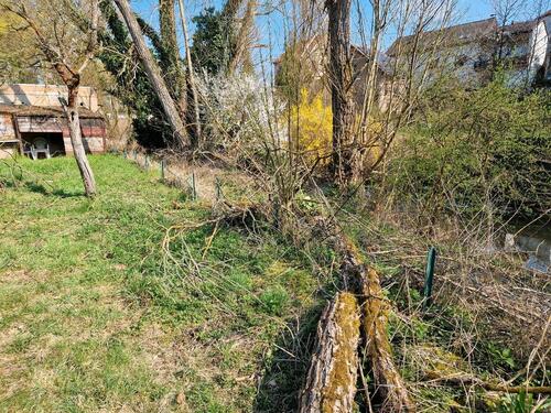 Foto - andere zur Miete in Wöllstein