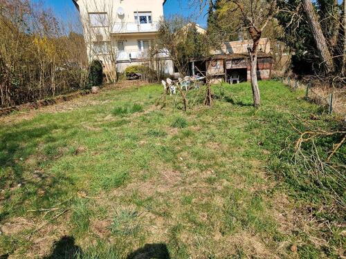 Foto - andere in Wöllstein