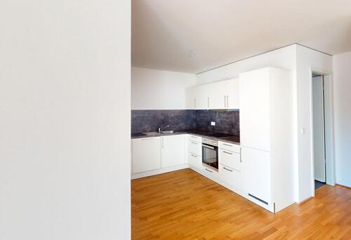 Foto - 3 Zimmer Einfamilienhaus in Mainz