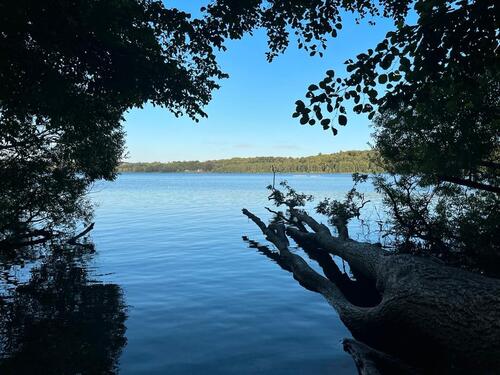 Foto - Luxushaus in Seenähe – voll möbliert & bezugsfertig