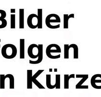 4ZKB DHH, möbliert, 140m2, Pool, PV, Klimaanlage - Linkenheim-Hochstetten