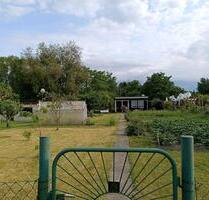 wunderschöner Garten, Kleingarten in Barth