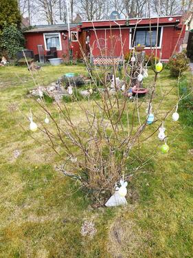 Foto - Gartenlaube im klein Garten Verein