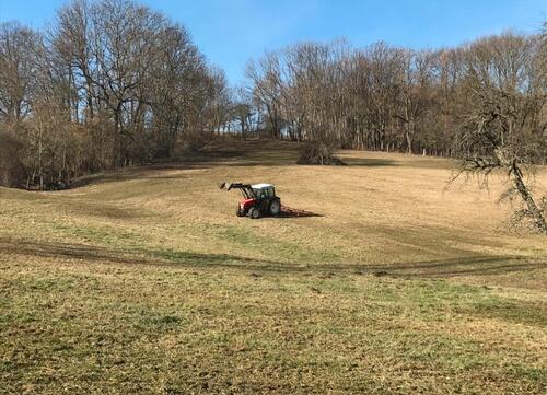 Foto - Biete schöne eingezäunte Wiese in Elliehausen zur Pacht