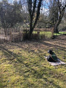 Foto - Einfamilienhaus in Saarbrücken zur Miete
