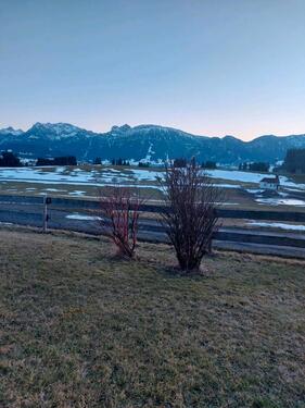 Foto - 1 Zimmer Erdgeschoßwohnung in Kempten (Allgäu)