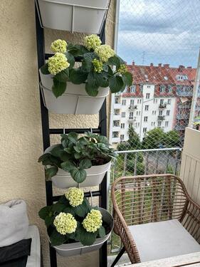 Foto - Etagenwohnung in München zum Kaufen