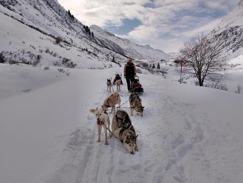 Foto - andere in Vogt