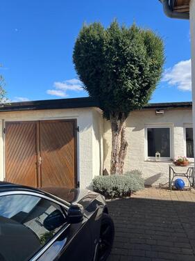 Foto - Einfamilienhaus zum Kaufen in Könnern