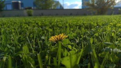 Foto - Bad Homburg - Zentrum - 4 Zimmer EG-Wohnung mit Garten
