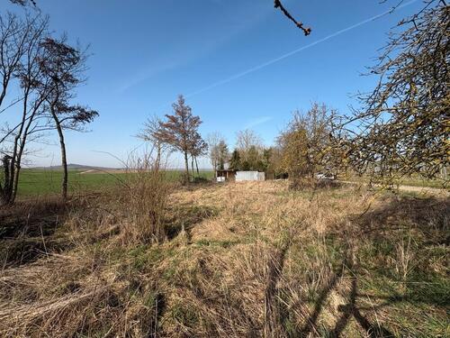 Foto - Gartengrundstück in Dolgesheim zu verpachten - 1.200m2