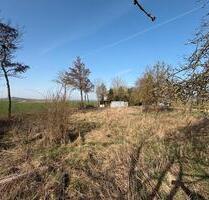 Gartengrundstück in Dolgesheim zu verpachten - 1.200m2 - Mommenheim