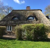 Angebot 6 ÜN 21.-27.Juni Ferienhausurlaub Nordsee Nordfriesland - Seeth