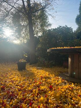 Foto - Zimmer zur Untermiete - 650,00 EUR Kaltmiete, ca.  110,00 m²