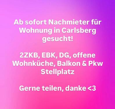 Foto - Single Wohnung in 67316 Carlsberg zu vermieten