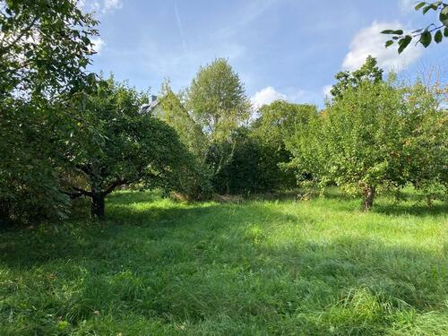 Foto - Grundst&uuml;ck in Neunkirchen am Brand