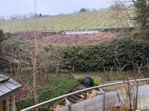Foto - Exklusive 3 Zimmer Wohnung am Neroberg Direkt am Weinberge