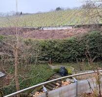 Exklusive 3 Zimmer Wohnung am Neroberg Direkt am Weinberge - Wiesbaden Nordost