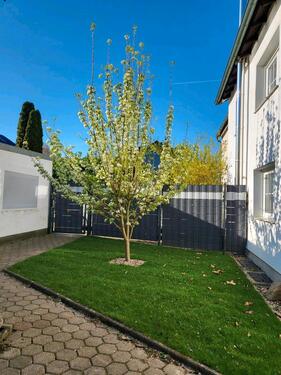 Foto - 5 Zimmer Doppelhaushälfte zum Kaufen in Dortmund