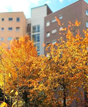 Foto - 2 Zimmer-Wohnung einer Wohnanlage für die Generation ab 50 Jahre