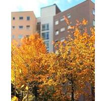 2 Zimmer-Wohnung einer Wohnanlage für die Generation ab 50 Jahre - Bad Waldsee