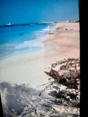 Foto - Einfamilienhaus zum Kaufen in Rheine