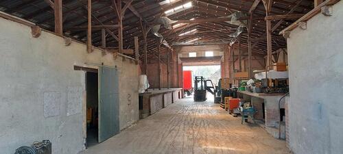 Foto - andere in Barnstorf