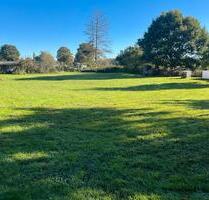 WieseWeide - 290,00&nbsp;EUR Kaltmiete, ca.&nbsp; 0,00&nbsp;m&sup2; in Nienburg (Weser) (PLZ: 31582)