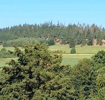 Eigentumswohnung - 65.000,00&nbsp;EUR Kaufpreis, ca.&nbsp; 57,00&nbsp;m&sup2; in Zell im Fichtelgebirge (PLZ: 95239)