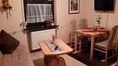 Foto - Ferienhaus, Ferienwohnung, Monteurzimmer, Zimmervermittlung