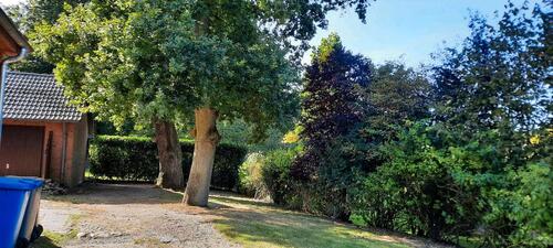 Foto - 6 Zimmer Einfamilienhaus zur Miete in Buchholz in der Nordheide