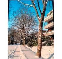 4-Zimmer ETW Langenhagen- provisionsfrei - Burgwedel