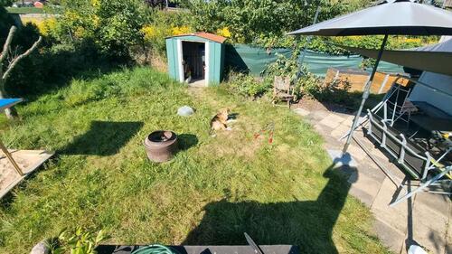 Foto - Grundst&uuml;ck in Magdeburg zur Miete