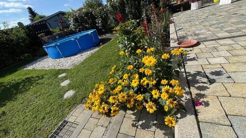 Foto - Einfamilienhaus in Eisenhüttenstadt zum Kaufen