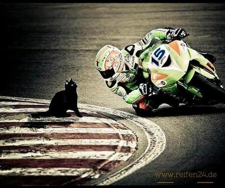 Foto - Motorrad Stellplatz in 23617 Dissau