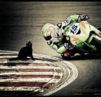 Motorrad Stellplatz in 23617 Dissau - Lübeck Sankt Gertrud