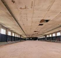 Stellplatz für Boote, Wohnwagen, Camper - Eldetal