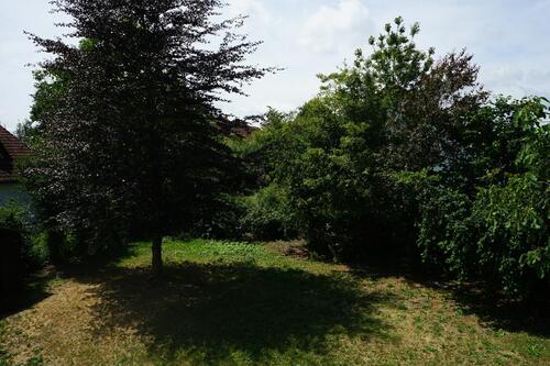 Foto - 5 Zimmer Einfamilienhaus in Feuchtwangen