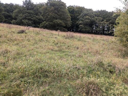 Foto - Grundstück zur Miete in Altena