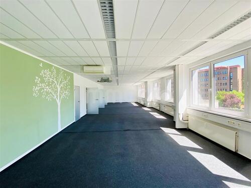 Foto - OHNE UMSATZSTEUER - Fußläufig zum Main