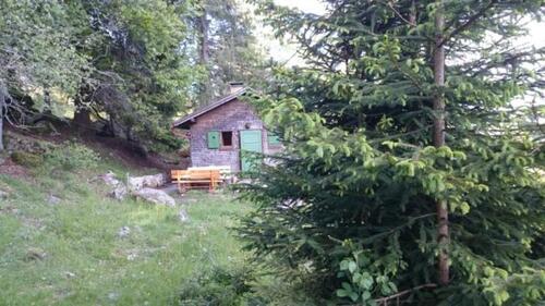 Foto - Urige Hütte im südlichen Schwarzwald