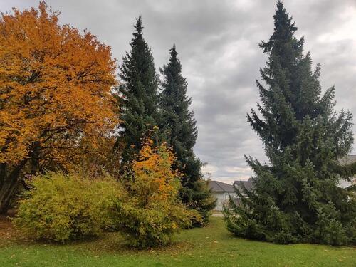 Foto - Etagenwohnung in Rottenacker zur Miete