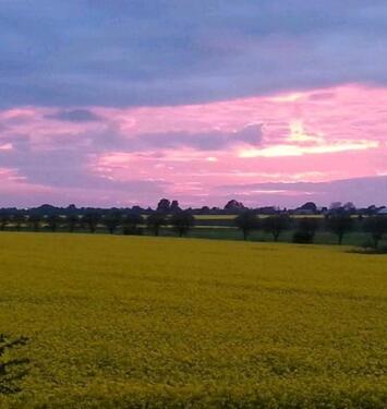Foto - Doppelhaushälfte in Fehmarn zum Kaufen